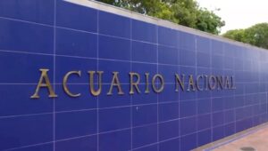 Nuria Piera Instagram - Por segunda vez una investigación arroja irregularidades en el #acuarionacional.
Un centro psicopedagógico para autistas del @educacionrd con demasiadas precariedades este sábado en #Ninvestiga a las 9 por @colorvisionc9