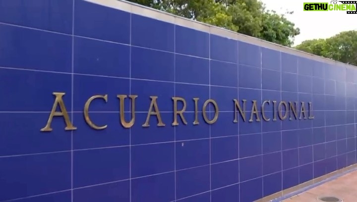 Nuria Piera - 8.2K Likes - Por segunda vez una investigación arroja irregularidades en el #acuarionacional.
Un centro psicopedagógico para autistas del @educacionrd con demasiadas precariedades este sábado en #Ninvestiga a las 9 por @colorvisionc9