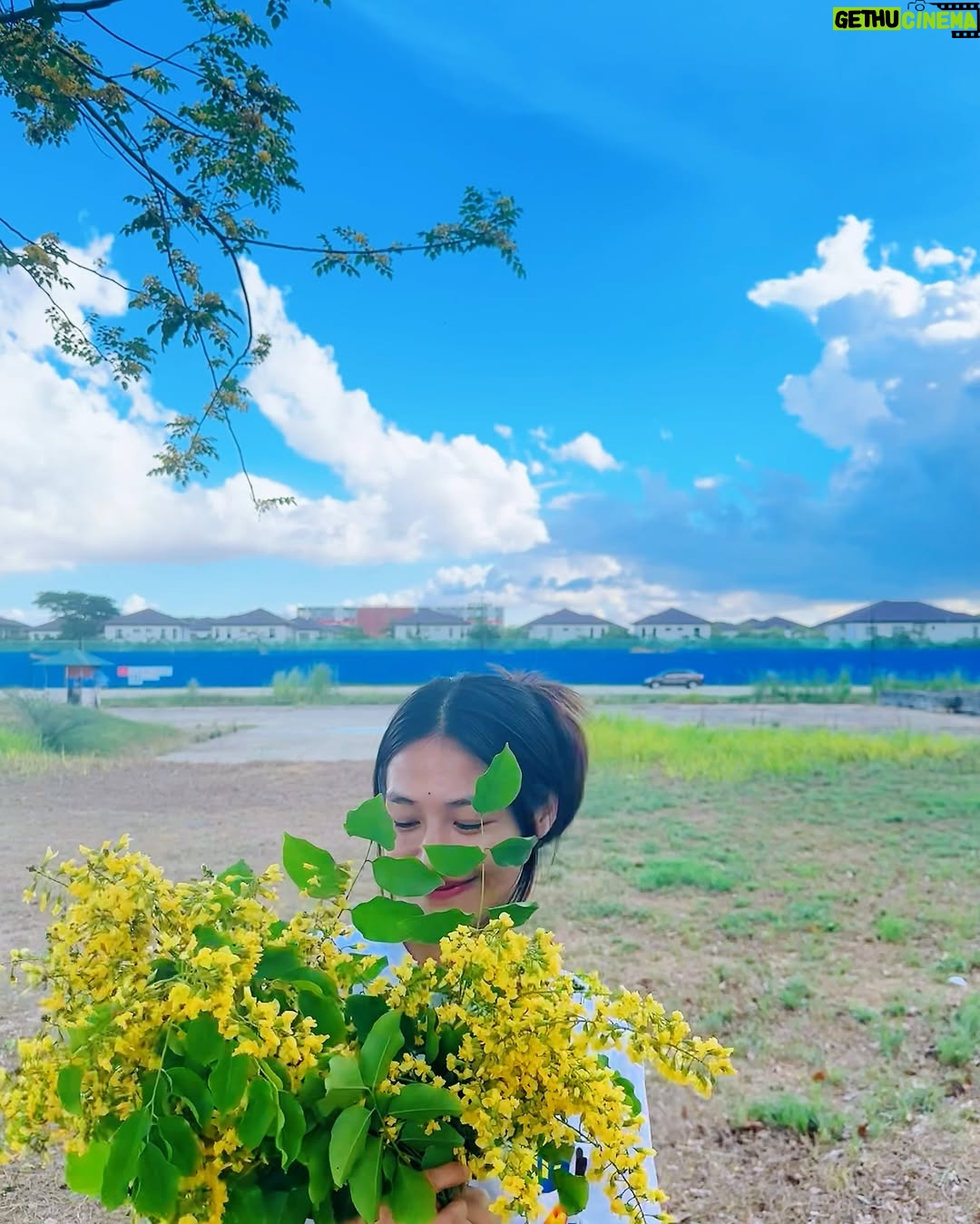 Nwe Darli Tun - 1.4K Likes - Padauk…💛