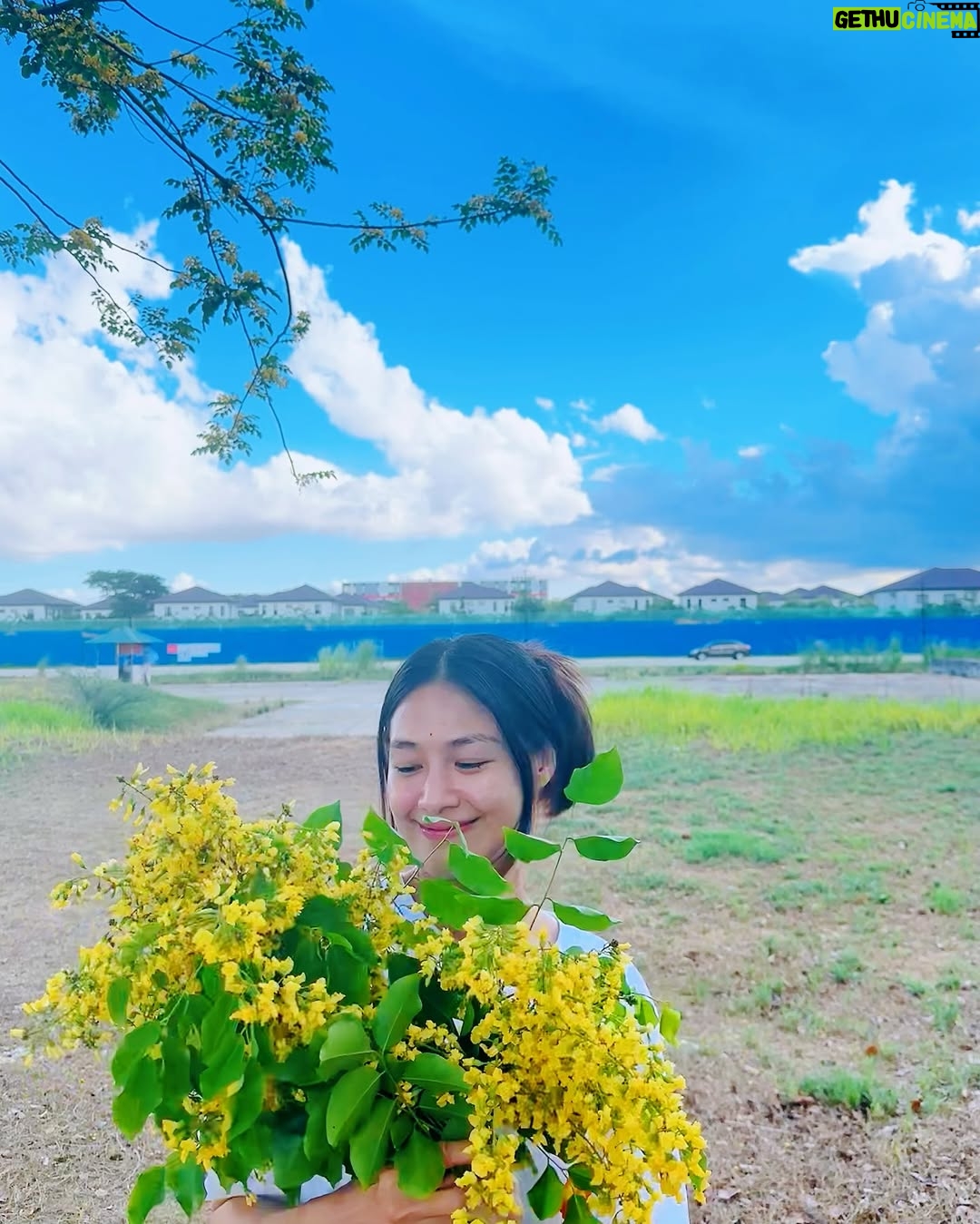 Nwe Darli Tun - 1.4K Likes - Padauk…💛