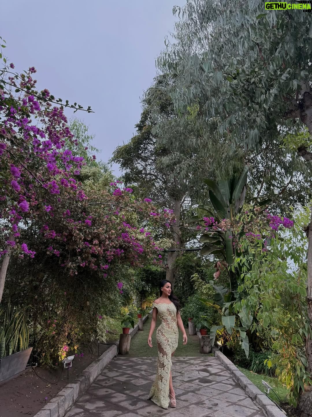 Onelia Molina - 53.5K Likes - Andrea & Roberto 💍 🤍
Que sean muy felices amigos lindos , celebraremos el amor hoy , mañana y siempre .