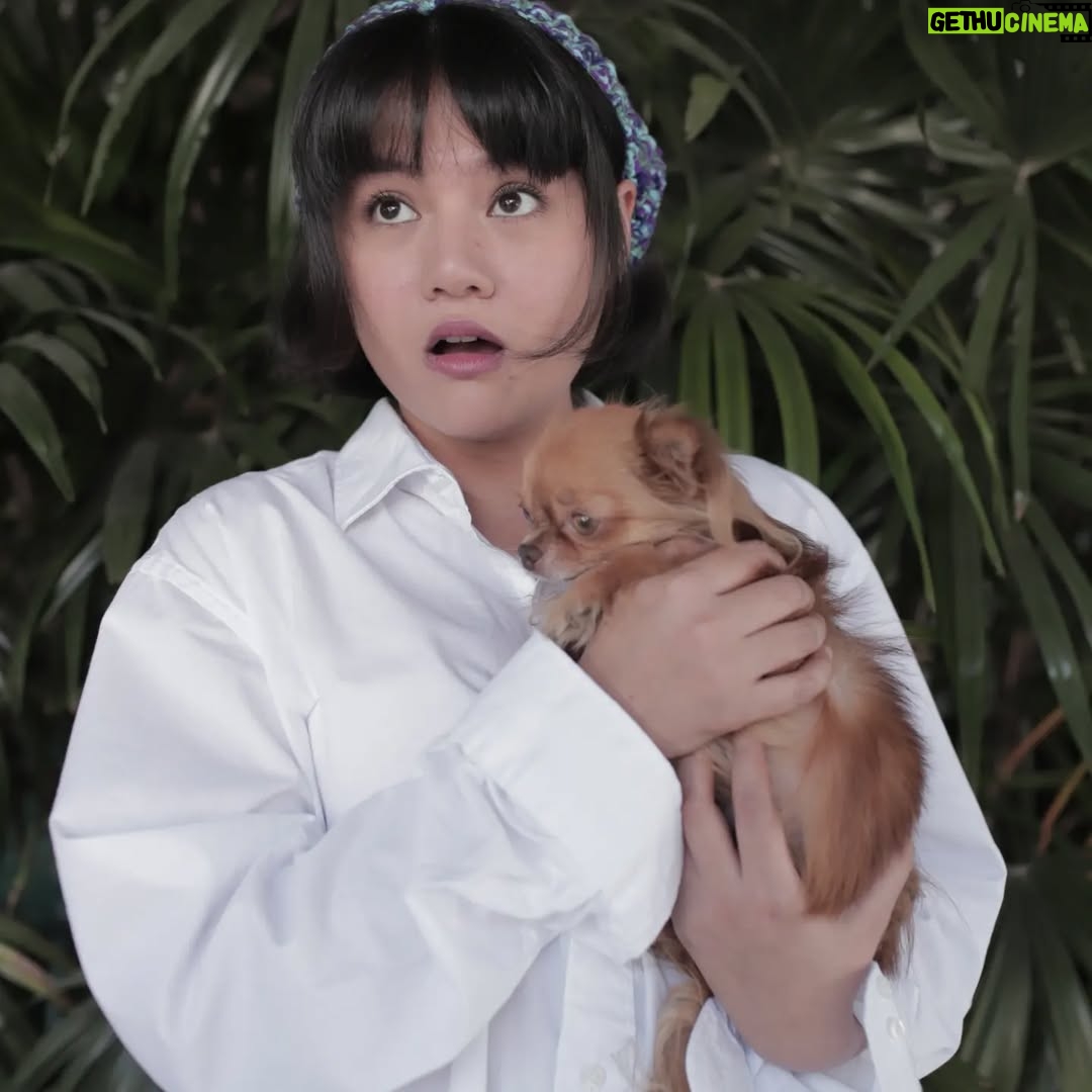 Paing Phyo Thu - 9.4K Likes - With Jack 🐶💕🤎