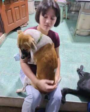 Paing Phyo Thu Instagram - The Clingy Baby Milo 😁🐶