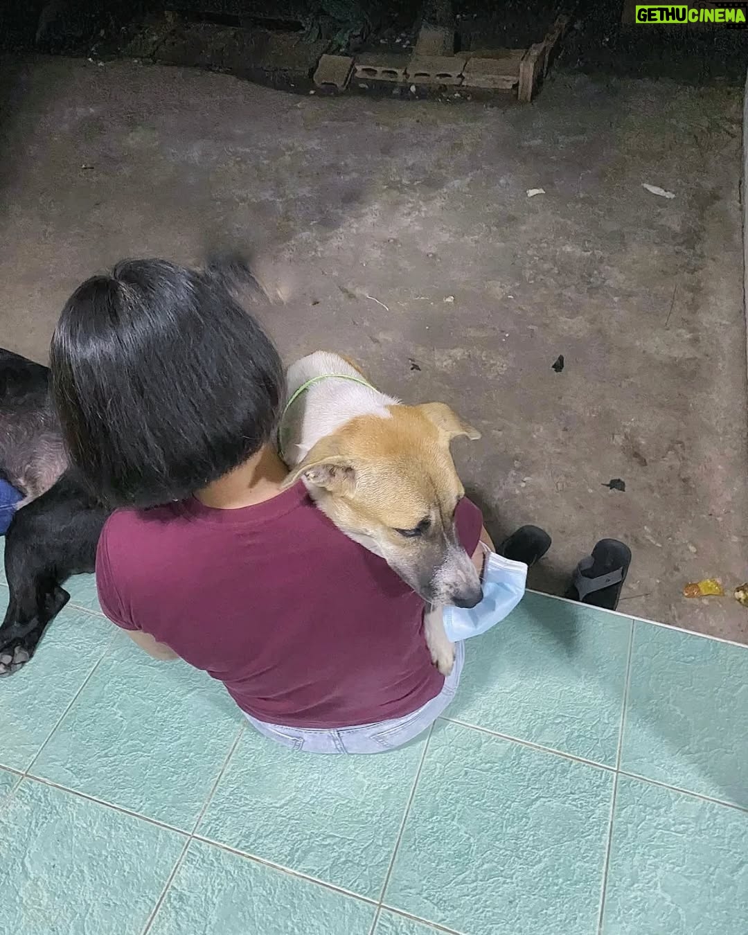 Paing Phyo Thu - 9.7K Likes - The Clingy Baby Milo 😁🐶