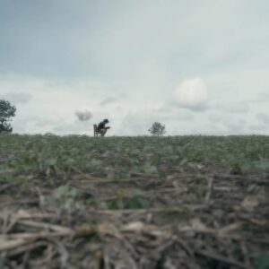 Paing Phyo Thu Instagram - Bird Eye View mv
