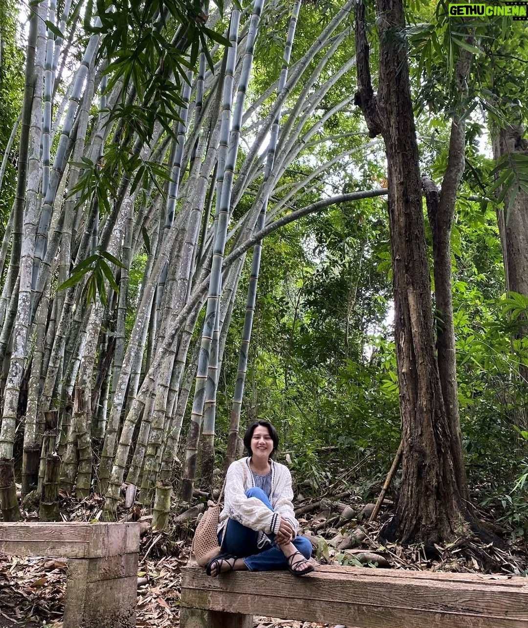 Paing Phyo Thu - 9.1K Likes - 😇🌿🌳🍃