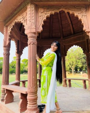 Palak Chauhan Instagram - Comment 💚