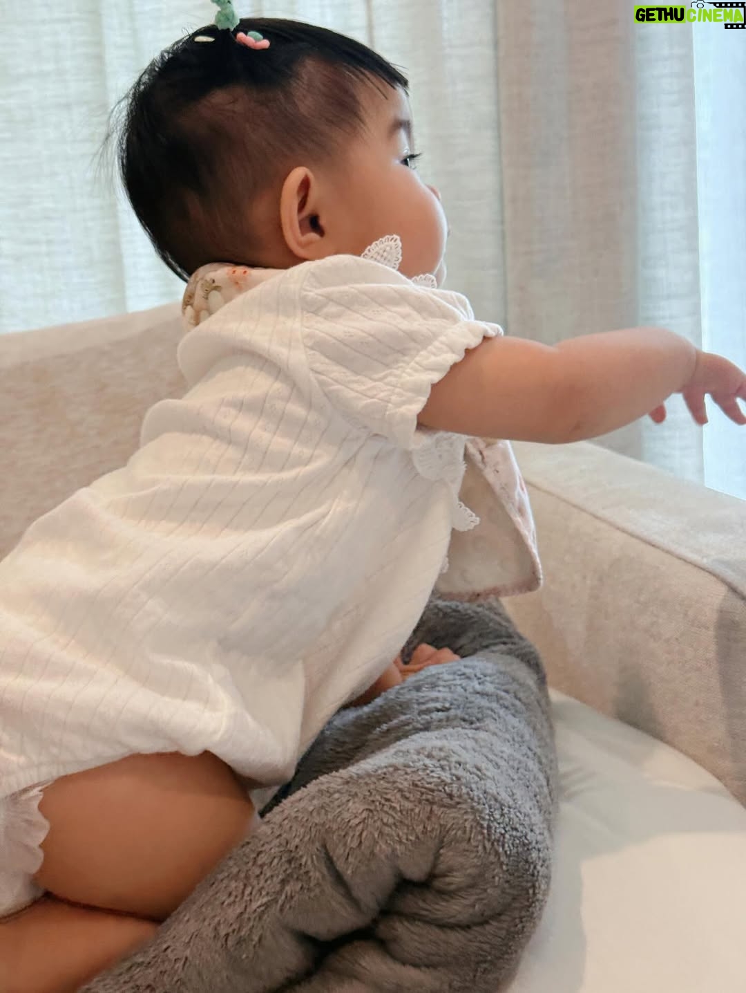 Paowalee Pornpimol - 1.6K Likes - เริ่มเลย !!! ใกล้จะ1ขวบ แววความซ่าเริ่มมาแว้ววว 😆🥳 #เปาวลี #เอิร์ธเปาfamily #แสนดีิ