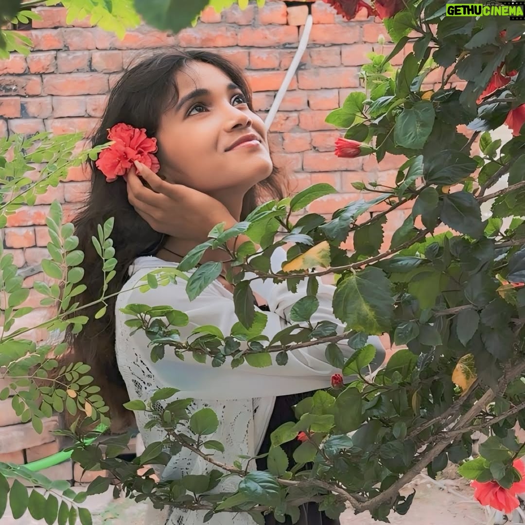 Pari Rajput - 765 Likes - 🖤❤️🥀

@parirajput1304_