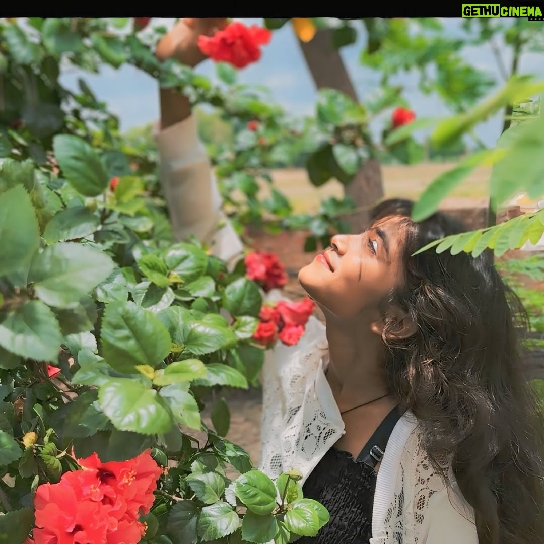 Pari Rajput - 765 Likes - 🖤❤️🥀

@parirajput1304_