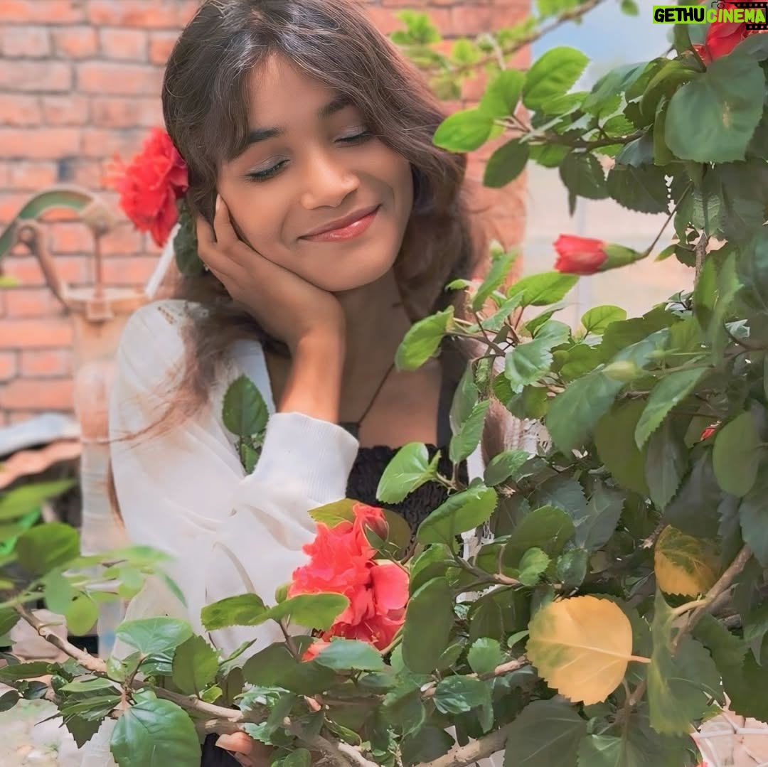 Pari Rajput - 765 Likes - 🖤❤️🥀

@parirajput1304_