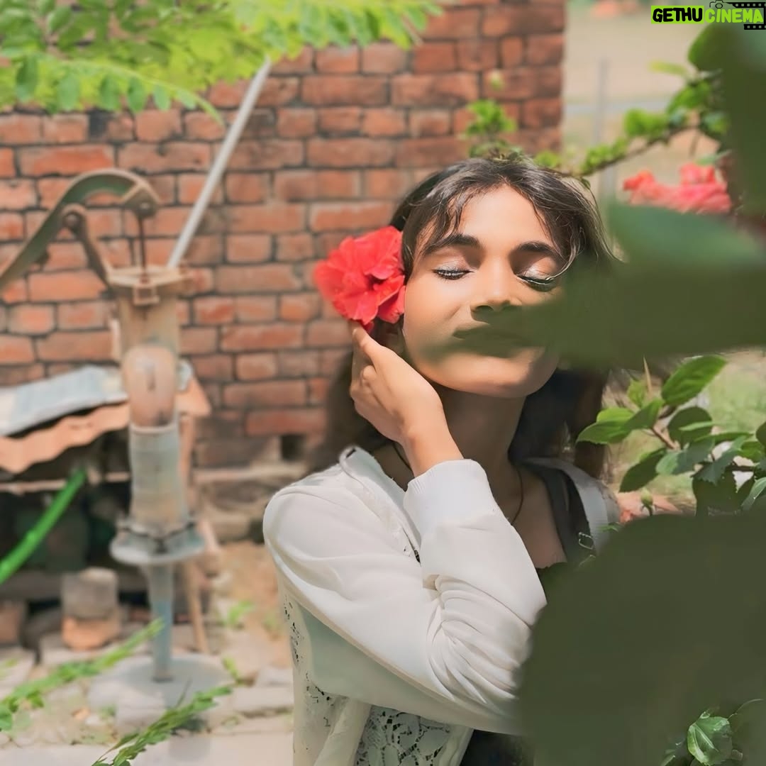 Pari Rajput - 765 Likes - 🖤❤️🥀

@parirajput1304_