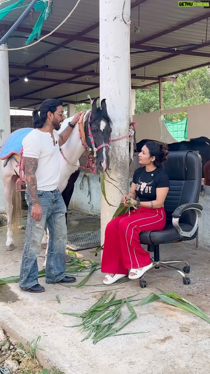 Parul Ahirwar - 180.8K Likes - Bhim😁
@veer_sharma2611 

#explore
