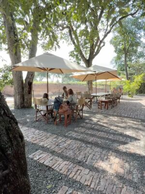 Paula Andrea Betancourt Instagram - El Masái Mara es una reserva natural nacional situada al sudoeste de Kenia.Forma parte de la región del Serengueti y es en realidad una continuación del parque nacional del mismo nombre.Se llama así porque la tribu Masái habita dicha zona y por el río Mara que lo cruza. Es famoso por su fauna excepcional y por la Gran Migración, un espectáculo natural donde miles de cebras, ñus y antílopes se desplazan hacia los pastizales del Serengueti, el cual comienza el mes de Junio y por su rica vida silvestre, incluyendo leones, guepardos y leopardos.Es común el avistamiento de los Cinco Grandes” se refiere a un grupo de cinco animales salvajes africanos icónicos: el león, el leopardo, el elefante, el rinoceronte y el búfalo cafre. Este término, originado entre los cazadores, se utilizaba para describir a las especies más difíciles y peligrosas de cazar a pie. En la actualidad, se utiliza más comúnmente para referirse a los animales más buscados por los turistas en safaris fotográficos.
El paisaje está compuesto por llanuras con hierba y colinas ondulantes,un verdadero espectáculo y atraviesan los ríos Mara y Talek. La zona cercana está salpicada de aldeas (enkangs) del pueblo masái.
Nuestro hotel es un espectacular campamento que se llama Sand River y queda al interior de esta maravillosa selva, justamente donde el Río Talek la separa literalmente de Tanzania,estamos completamente agradecidos y enamorados! 🙏🙏🙏