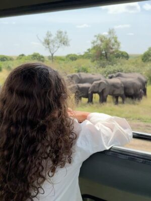 Paula Andrea Betancourt Instagram - El Masái Mara es una reserva natural nacional situada al sudoeste de Kenia.Forma parte de la región del Serengueti y es en realidad una continuación del parque nacional del mismo nombre.Se llama así porque la tribu Masái habita dicha zona y por el río Mara que lo cruza. Es famoso por su fauna excepcional y por la Gran Migración, un espectáculo natural donde miles de cebras, ñus y antílopes se desplazan hacia los pastizales del Serengueti, el cual comienza el mes de Junio y por su rica vida silvestre, incluyendo leones, guepardos y leopardos.Es común el avistamiento de los Cinco Grandes” se refiere a un grupo de cinco animales salvajes africanos icónicos: el león, el leopardo, el elefante, el rinoceronte y el búfalo cafre. Este término, originado entre los cazadores, se utilizaba para describir a las especies más difíciles y peligrosas de cazar a pie. En la actualidad, se utiliza más comúnmente para referirse a los animales más buscados por los turistas en safaris fotográficos.
El paisaje está compuesto por llanuras con hierba y colinas ondulantes,un verdadero espectáculo y atraviesan los ríos Mara y Talek. La zona cercana está salpicada de aldeas (enkangs) del pueblo masái.
Nuestro hotel es un espectacular campamento que se llama Sand River y queda al interior de esta maravillosa selva, justamente donde el Río Talek la separa literalmente de Tanzania,estamos completamente agradecidos y enamorados! 🙏🙏🙏