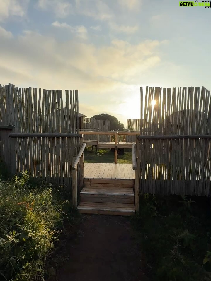 Paula Andrea Betancourt - 9.9K Likes - El espectacular Asilia Highlands ubicado a más de 2.400 metros  de altura,combina un diseño vanguardista y abierto con un ambiente íntimo en el exuberante bosque que se extiende por las laderas del volcán Olmoti, lo que contrasta perfectamente con la calidez y la alegría de su maravilloso Staff.Elegante y contemporáneo, The Highlands equilibra su impactante diseño con una auténtica experiencia en plena naturaleza en un entorno exclusivo. Tan solo ocho suites con cúpula de lona y cristal se inspiran en las encantadoras bomas masái que salpican el paisaje. Su interiores son muy  cálidos y contemporáneos que ofrecen el ambiente perfecto para relajarse después de un exitoso día de observación de animales.
Las áreas para huéspedes incluyen una biblioteca bien surtida, un acogedor bar y cómodas salas de estar de lujo alrededor de una chimenea interior. Las comidas gourmet se preparan únicamente con los ingredientes orgánicos más frescos y se sirven en diversos comedores. Las aventuras incluyen safaris en el cráter del Ngorongoro, visitas comunitarias y culturales, y senderismo por las rutas ganaderas masái a través de los diversos hábitats del volcán Olmoti.🙏🙏🙏🥂