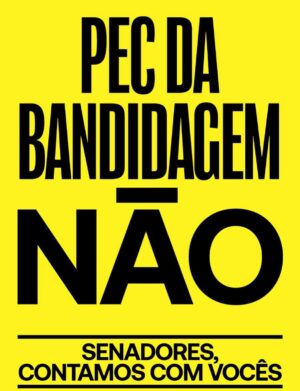 Paula Burlamaqui Instagram - @342artes