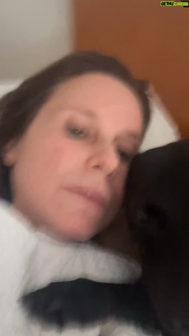 Paula Burlamaqui - 1.4K Likes - Pérola meu amor❤️ #amoraosanimais #adoteumanimalderua❤️🙏