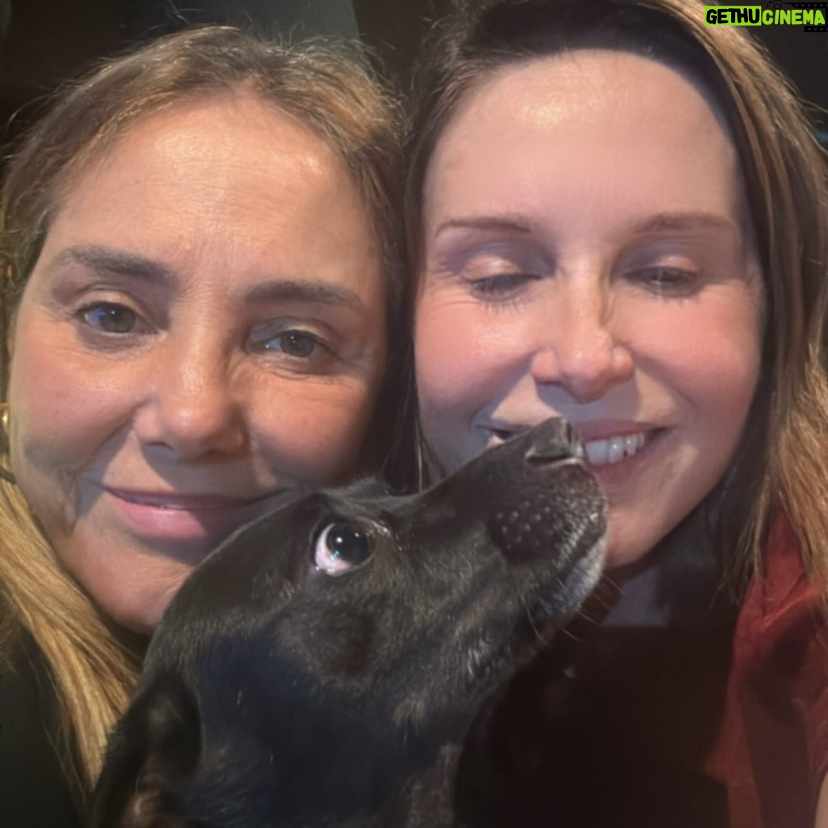 Paula Burlamaqui - 1.3K Likes - Domingão com amigos, cachorros e crianças ta bom ou não ta?❤️❤️❤️❤️❤️❤️❤️❤️❤️❤️❤️ @heloisaperisse @emanuellearaujo @fabiulaa @luismirandaator @nandodiniz @lp.montenegro @jeniffer_nascimento @rainercadete @eva_atocha  @luanamartau