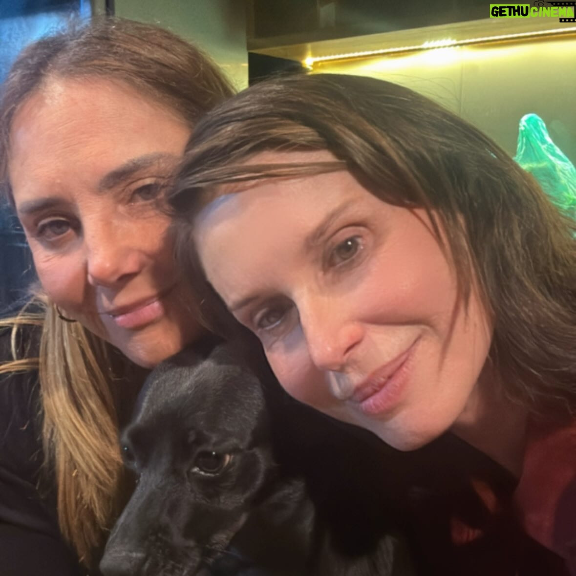 Paula Burlamaqui - 1.3K Likes - Domingão com amigos, cachorros e crianças ta bom ou não ta?❤️❤️❤️❤️❤️❤️❤️❤️❤️❤️❤️ @heloisaperisse @emanuellearaujo @fabiulaa @luismirandaator @nandodiniz @lp.montenegro @jeniffer_nascimento @rainercadete @eva_atocha  @luanamartau