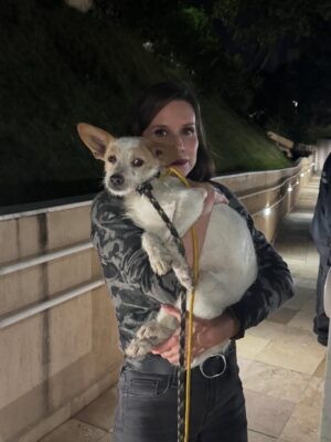 Paula Burlamaqui Instagram - Dinho estava abandonado nas ruas muito assustado, foi um resgate dificil demorado mas depois de algum tempo e com a ajuda do @grupoaudote ,conseguimos pega-lo e agora estamos a procura de um lar amoroso para ele , nos ajude repostando,entregamos castrado e vacinado, interessados mandem um direct #adocaoumatodeamor
