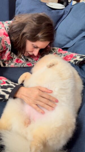 Paula Burlamaqui Instagram - Lola💙