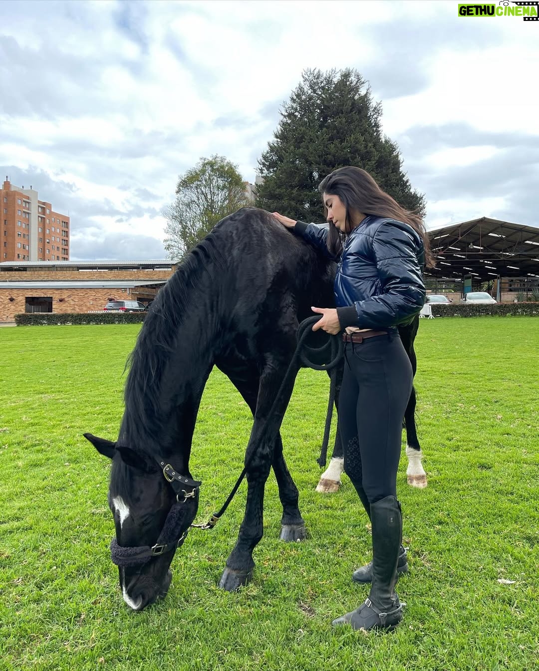 Paulina Vega - 66.5K Likes - FELICITACIONES a mi hermana @valeriavegadiep por hacer cero en la competencia de hoy en @worldequestriancenter 👏🏻👏🏻👏🏻 

Y FELIZ CUMPLEAÑOOOS !!! 

No sólo eres la más chistosa y la más linda, también eres la más tesa! 

El constante amor, respeto y sabiduría hacía los caballos es absolutamente de admirar. Estoy muy orgullosa de ti y de Dominant por todo lo que han logrado en Estados Unidos. La han sacado del estadio y se lo merecen completico! 

A celebrar doble hoy ❤️ 💃🏻😄