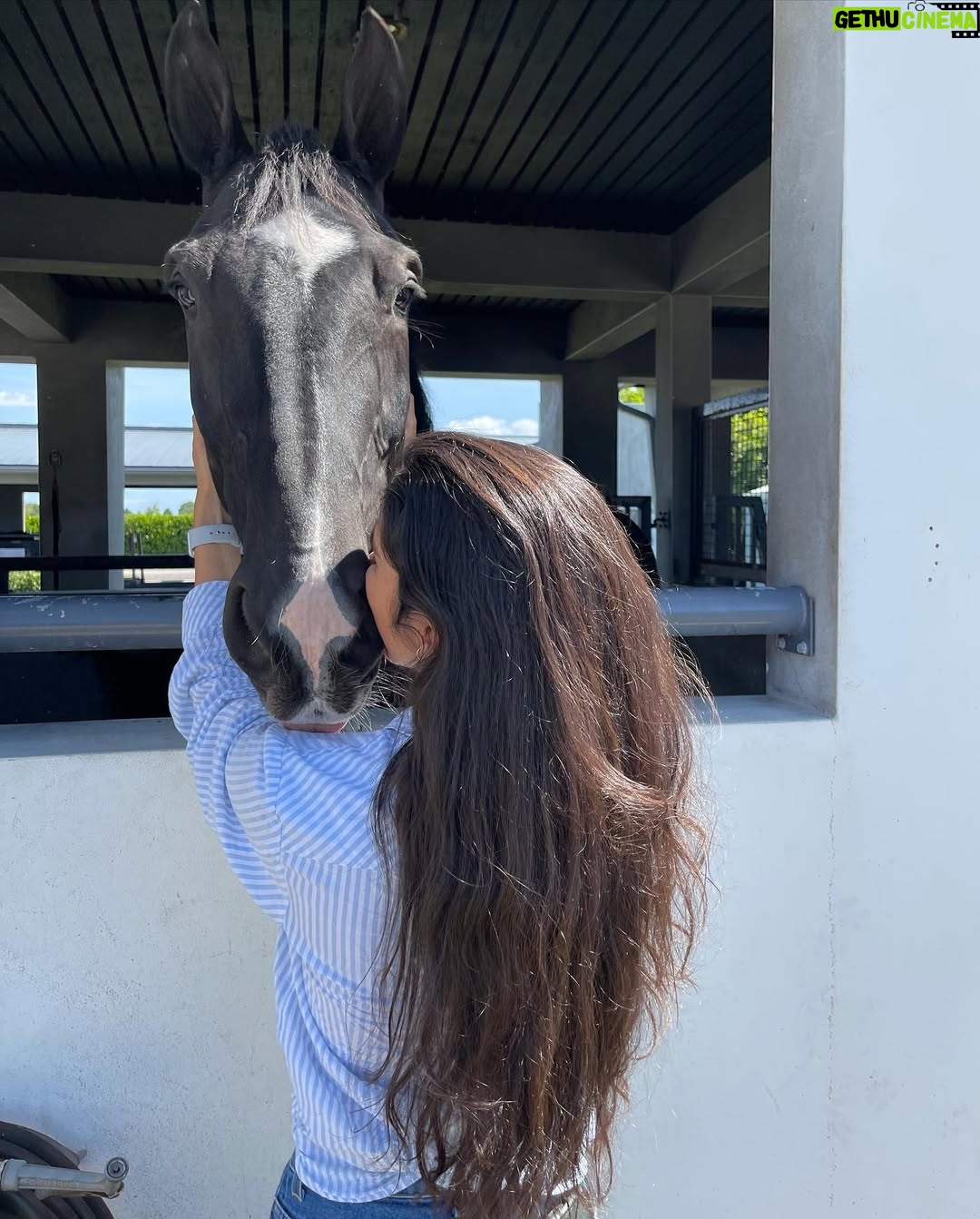 Paulina Vega - 66.5K Likes - FELICITACIONES a mi hermana @valeriavegadiep por hacer cero en la competencia de hoy en @worldequestriancenter 👏🏻👏🏻👏🏻 

Y FELIZ CUMPLEAÑOOOS !!! 

No sólo eres la más chistosa y la más linda, también eres la más tesa! 

El constante amor, respeto y sabiduría hacía los caballos es absolutamente de admirar. Estoy muy orgullosa de ti y de Dominant por todo lo que han logrado en Estados Unidos. La han sacado del estadio y se lo merecen completico! 

A celebrar doble hoy ❤️ 💃🏻😄