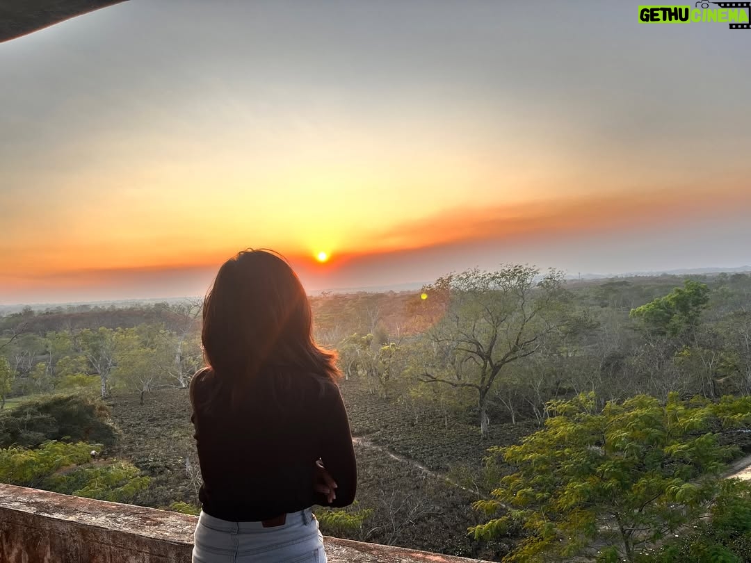 Payal Ray - 3 Likes - Perfect sunset🌻✨

#sunset #instagram #black #outfit #fypシ