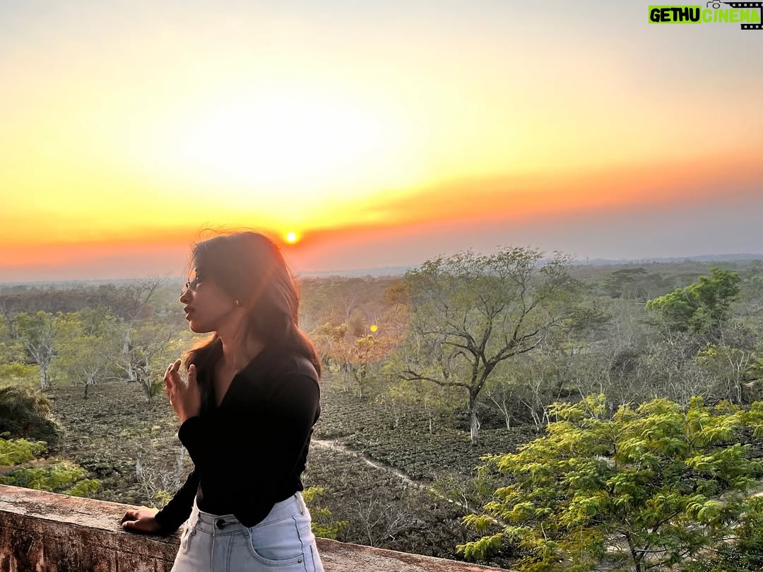 Payal Ray - 3 Likes - Perfect sunset🌻✨

#sunset #instagram #black #outfit #fypシ