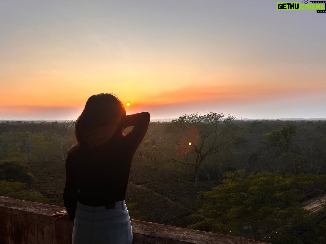 Payal Ray - 3 Likes - Perfect sunset🌻✨

#sunset #instagram #black #outfit #fypシ
