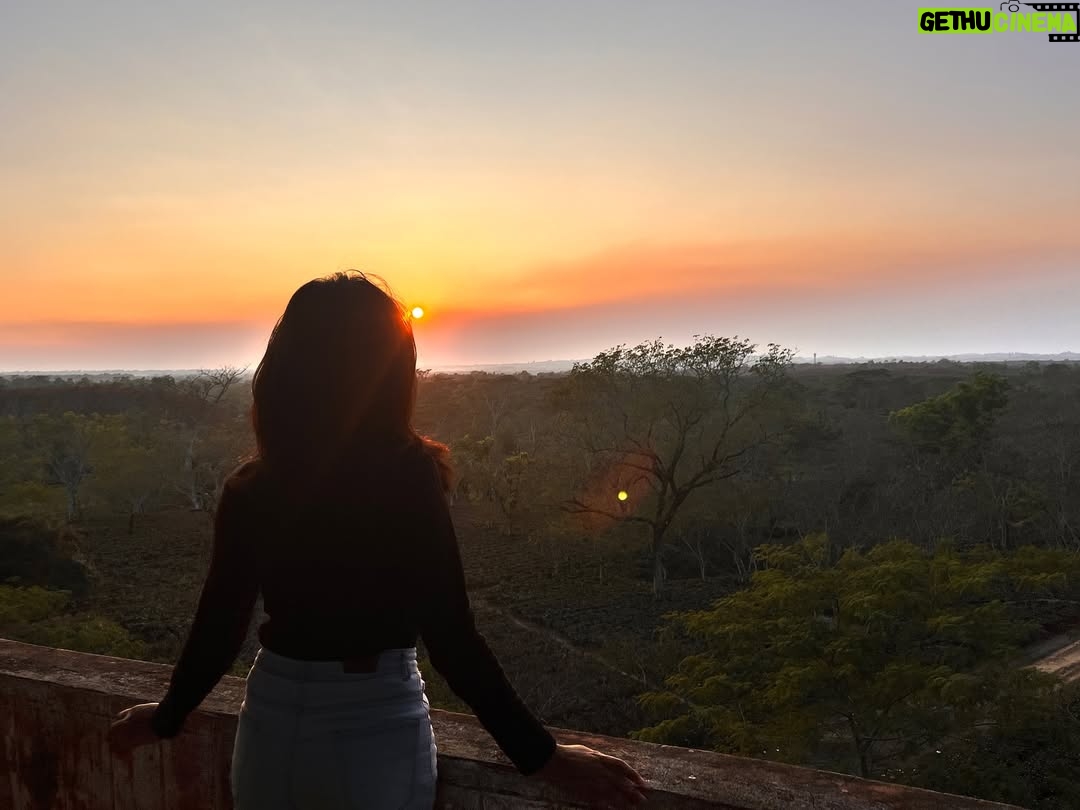 Payal Ray - 3 Likes - Perfect sunset🌻✨

#sunset #instagram #black #outfit #fypシ