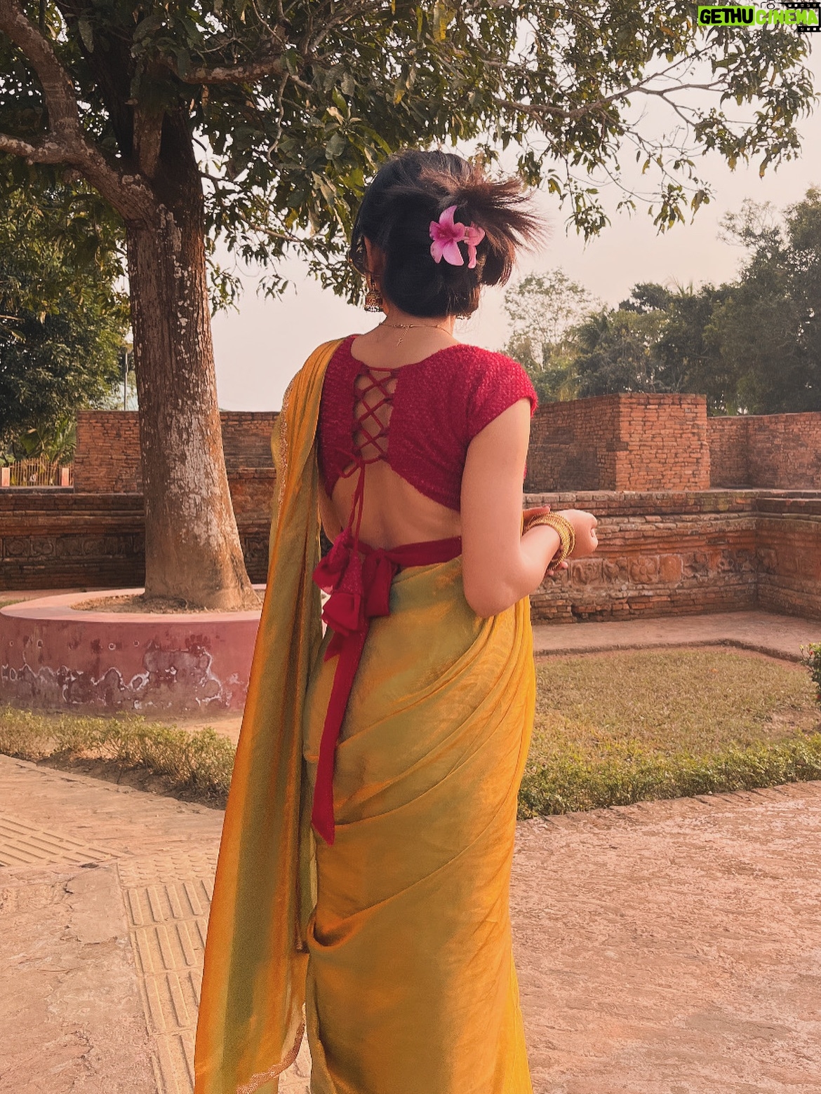 Payal Ray - 3 Likes - उनको साड़ी बहुत पसंद इै 🌷💟