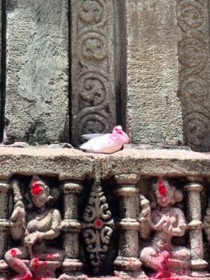 Payal Routray Instagram - Kab se man mein ek hi icha thi… Kamakhya Maa ke darshan ki.
Aaj vo bhi poori hui, vo bhi Somvar vrat ke din.🍀✨
Kuch pal aise hote hain jo sirf bhagya se milte hain… aur yeh unhi mein se ek tha.🧿❤️
Jai Maa Kamakhya!🙏
#kamaskya #post #assam #kamaskyatemple #sawan