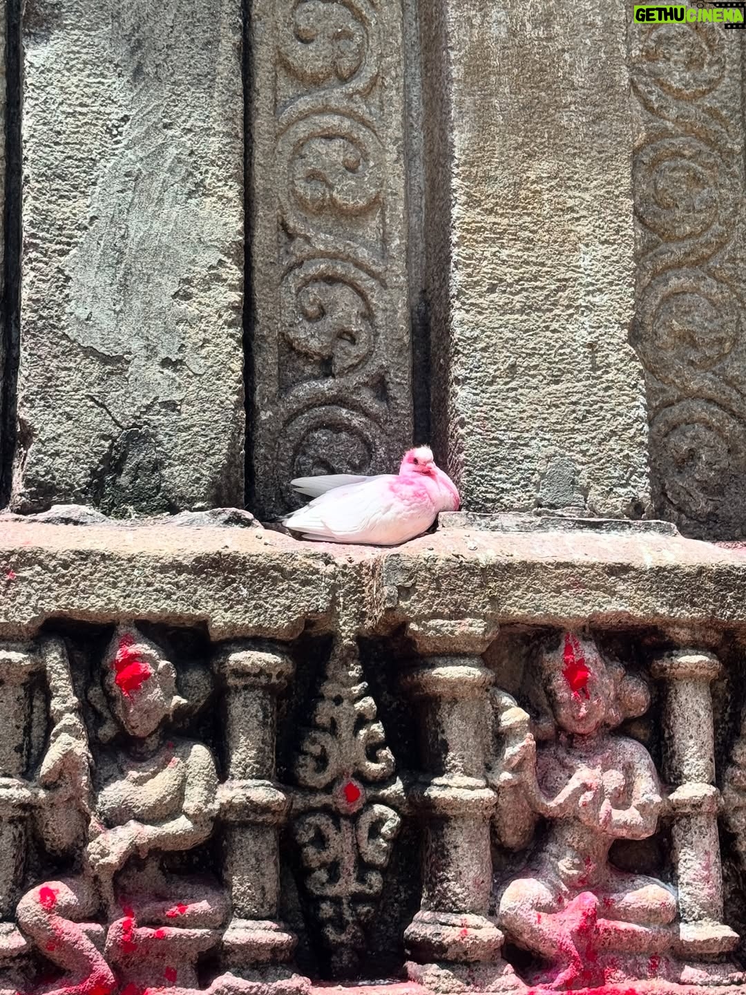 Payal Routray - 104.8K Likes - Kab se man mein ek hi icha thi… Kamakhya Maa ke darshan ki.
Aaj vo bhi poori hui, vo bhi Somvar vrat ke din.🍀✨

Kuch pal aise hote hain jo sirf bhagya se milte hain… aur yeh unhi mein se ek tha.🧿❤️

Jai Maa Kamakhya!🙏

#kamaskya #post #assam #kamaskyatemple #sawan