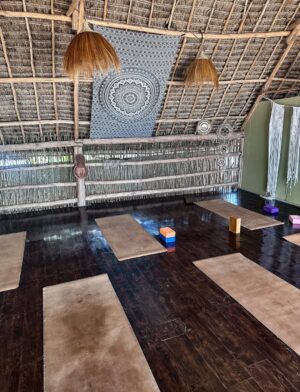 Pearl Modiadie Instagram - I joined my friend @fixmoeti for the most grounding yoga session 🧘🏽♀️— walked in right before the class she was guiding and it was a complete surprise! She didn’t believe that I’d actually pop in since my hotel was a little over an hour away. The look on her face was priceless , Lol! And that session has sparked my interest in yoga 🌱
Fix, thank you for sharing your light and holding space for me so gently 🤍.
You’ve made such wonderful strides and I’m inspired by your way of life.
Guys, if you’re ever in Zanzibar, make your way to @yogabarzanzibar in Kiwengwa.
They have amazing ocean views, beautiful energy, yoga and Pilates classes , massages , wholesome food and drinks — it’s a true soul-refresh. 🧘🏽♀️🌊✨🤍
@selfcarewithfix also has a few HEAL retreats coming up, check them out. I wish I could attend 🥹
P.S : this White Lotus soundtrack will always be a fave.