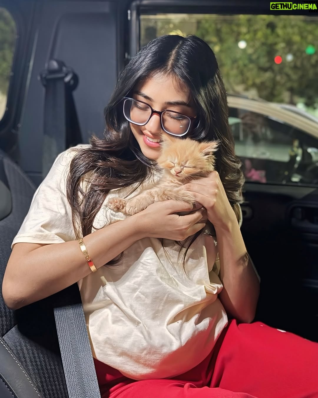 Pooja Rampal - 3 Likes - meet my meoww..# shaaju ❣️