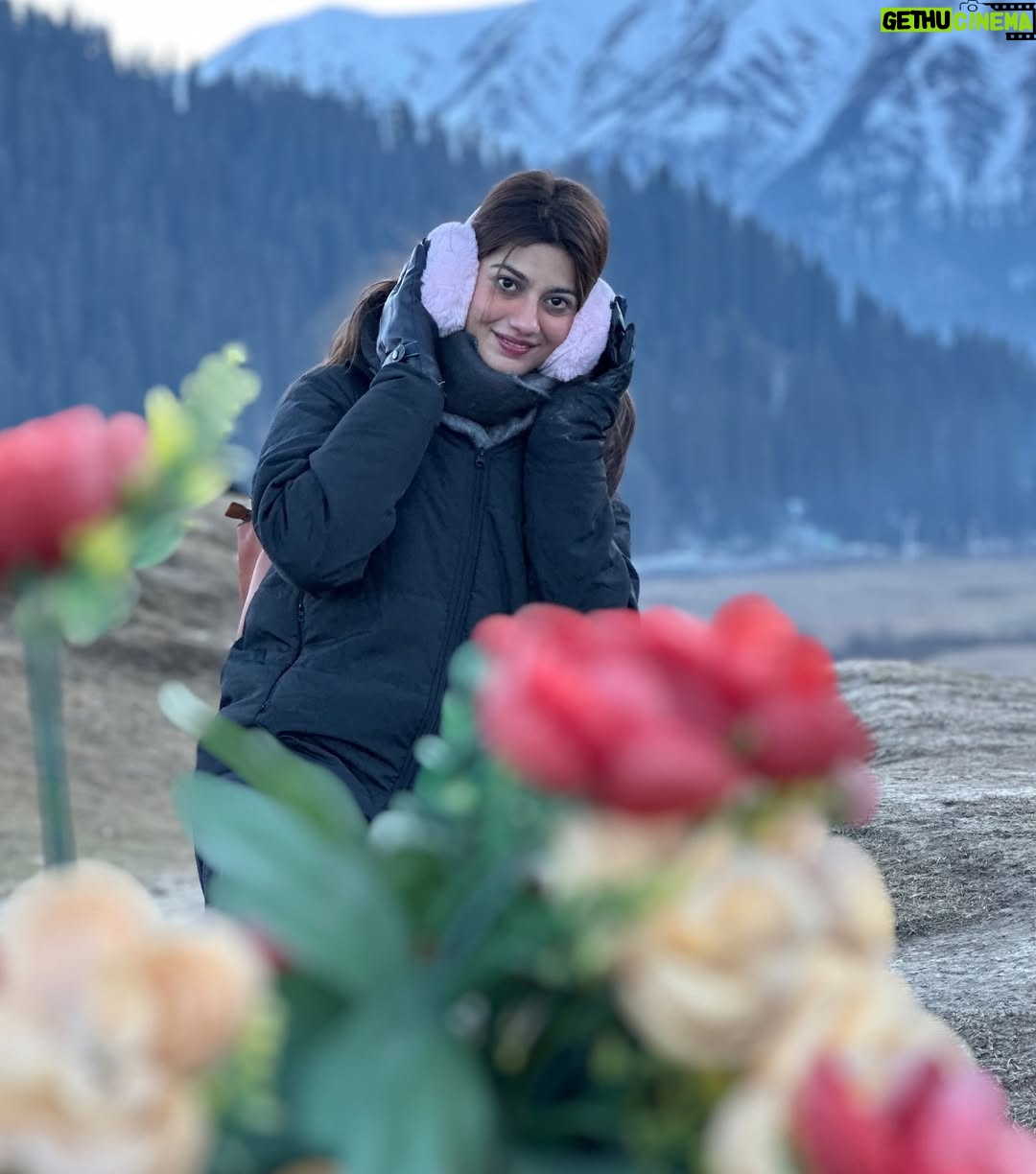 Pooja Solanki - 2.1K Likes - Kashmir 🍁🍂