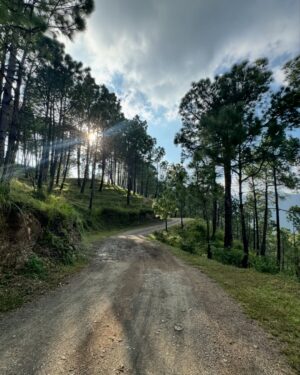 Pooja Solanki Instagram - 🕊️🤍🏔️🐣🧿