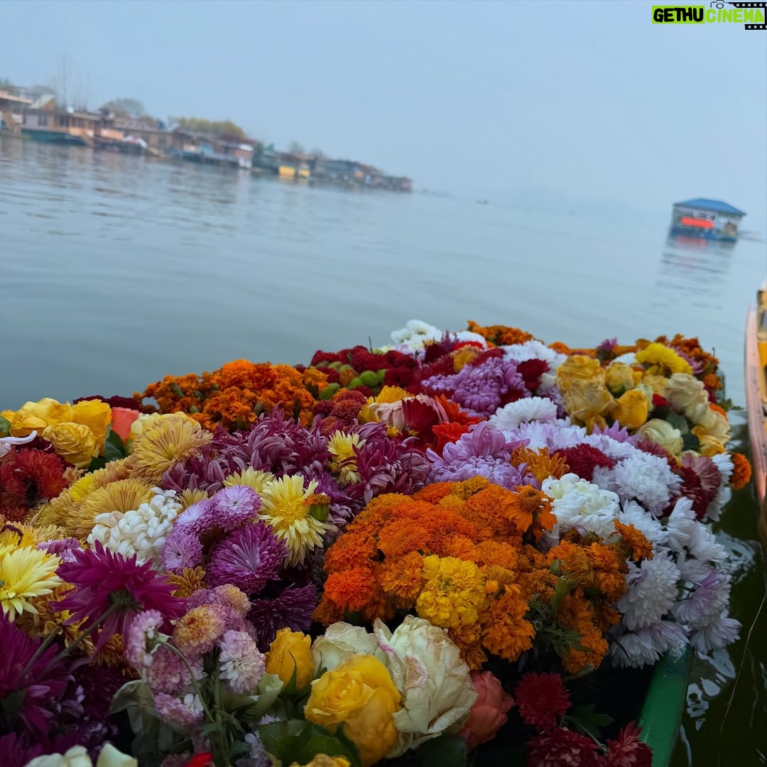 Pooja Solanki - 2.6K Likes - क्या ऐसा हो सकता है ! हम तुमको तुमसे माँगे 
और तुम मुस्कुरा के कहो , अपनी चीज़ मांगा नहीं करते.!! 🫶🏻💌