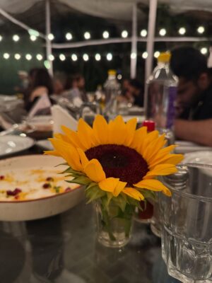 Prableen Kaur Bhomrah Instagram - MY BESTIES THREW ME A SURPRISE BACHELORETTE 😭🩷🧿
It was so overwhelming and so beautiful at the same time.
I can’t believe I’m getting married in less than 2 months & I get to celebrate it with them!!!!!!
Thank you for taking out time, taking all the efforts to make sure it went smoothlyyyy!!! 🥹🥹🥹🩷🩷🩷
Love you guys & thank you for making this happppennnnnn! Thank you for coming, thank you for making so many beautiful memoriesssss
Thank you guys for all the behind the scenes effort yall took because I know it took a lot to execute
From sorting the veil, to getting all the dirty things, to decorating, to getting my sash, to booking the bartender & sorting the villas, to making me play games, to getting the bags packed & sort all the logistics, to getting all mixers & dropping the driver & gettin the cake & getting alcohol & getting the games executed, and all situation questions, and staying up till 6 am BASICALLY EVERYTHINGGGGG AT ALL!!!!
@aditixshetty @ishamuni0710 @shreemayireddyy @thesassthing_ @missmcblush @karannvyas @talha_shaikh10 @rahilkothariii @shubham_keni @suyaashchavann @kartikhshetty @shawn.nazareth
& Special thanksssss to my cuties
@dolly_karia @nishthaasharmaa for everything you two did🥹🥹 it was above & beyonddddd & yall made this possibleeee!!!
Still Can’t believe how yall made it happen
&
@kapillvyas for giving me 100 kisses 🥹🩷
And to all the lovely speeches I got, they meant the world to meeee!!!! Controlled my tearssss 🥹🥹🥹
I love you guysssss!!! Thank you 🩷🩷🩷🩷 forever grateful for you
Decor @ishaara.events @nehelsager