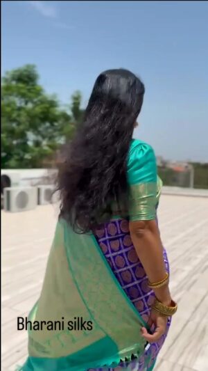 Preethi Sanjiv Instagram - Since 1977...
பட்டின் பிரம்மாண்டம் பரணி சில்க்ஸ்...
Address : 69, R.K.V Road, Erode...@bharanisilks
#pattusaree
#traditional
#trendingreels #tamilponnu