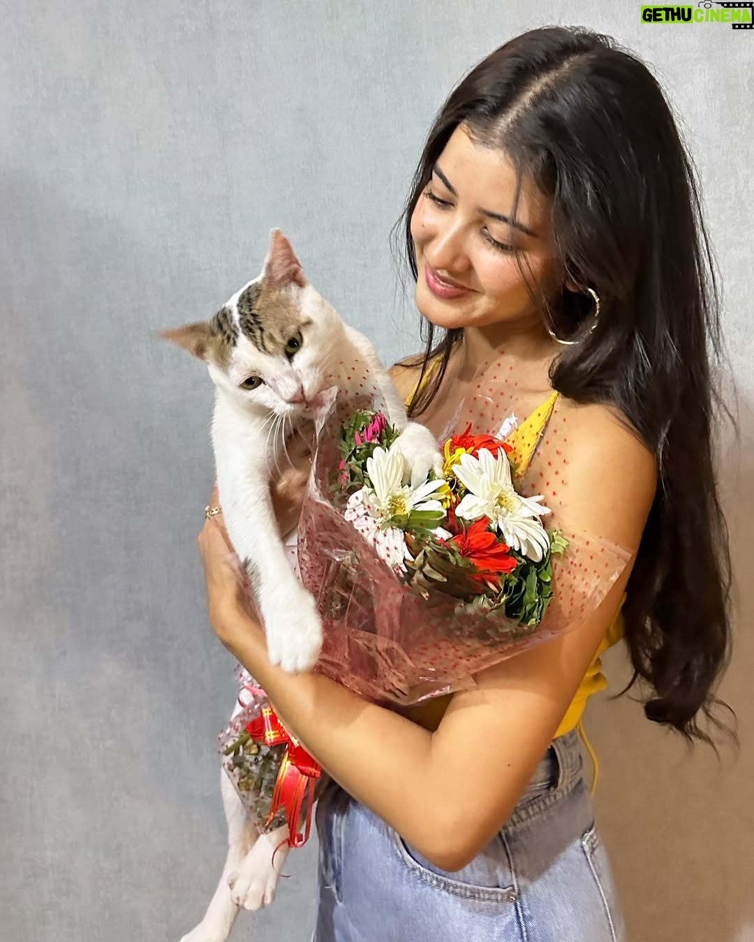 Princy Khatiwada Wiki, Biography, Age, Photos, Spouse and more