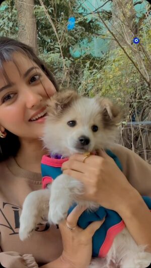 Princy Khatiwada Instagram - Puntu kumar🥹❤️🧿