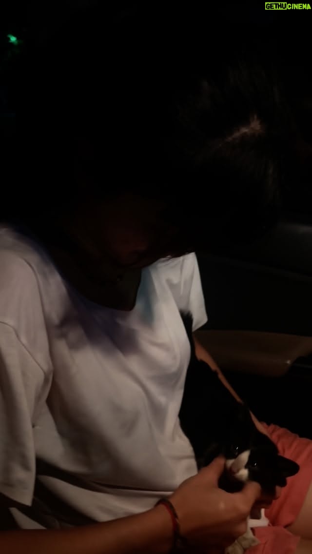 Prisia Nasution - 2.5K Likes - Cat emergency rescue jam 12 malam 🤣 sepanjang jalan kita denger meong meong yang ga tau berasal dari mana, setelah 10 menit kepanikan akhirnya berhenti dipinggir jalan dan beneran fix ada kucing di mesin kolong mobil.  Dan cuma 1 orang yang tau cara dongkrak mobil yaitu Mba @prisia 🤣🤣

Beruntung banget masih banyak orang baik yang bantuin nolongin kucing nya, buat Bapak-Bapak dan Mas-Mas depan RS Fatmawati terima kasih banyak ya 🤍 dan semoga buat Mas nya yang tadi bantuin sambil lagi nungguin Papanya operasi Jantung, kita doain semoga Papa nya segera sehat kembali ☺️ Aamiin ✨ Boleh bantu Aamiin nya ya temen-temen ✨
