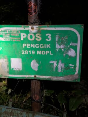Prisia Nasution Instagram - hijau, kusut, siang gaya, malem lemes, 
apaa hayooo? 

pia gegayaan naik gunung dari siang ketemu malem
