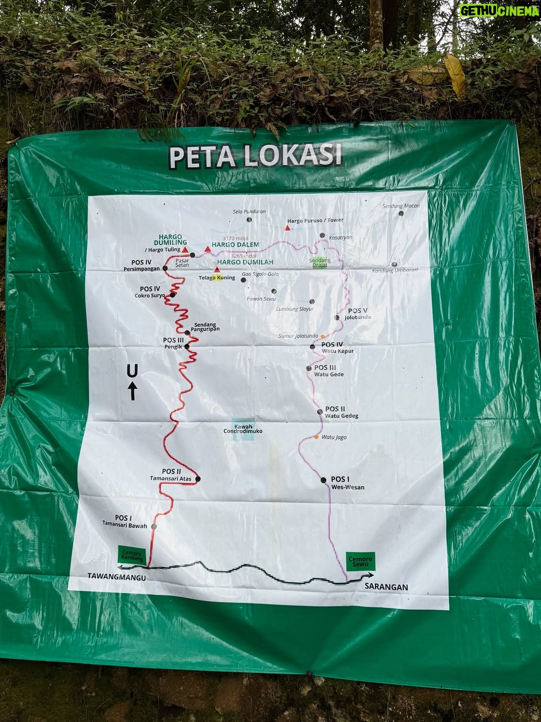 Prisia Nasution - 17.6K Likes - hijau, kusut, siang gaya, malem lemes, 
apaa hayooo? 

pia gegayaan naik gunung dari siang ketemu malem