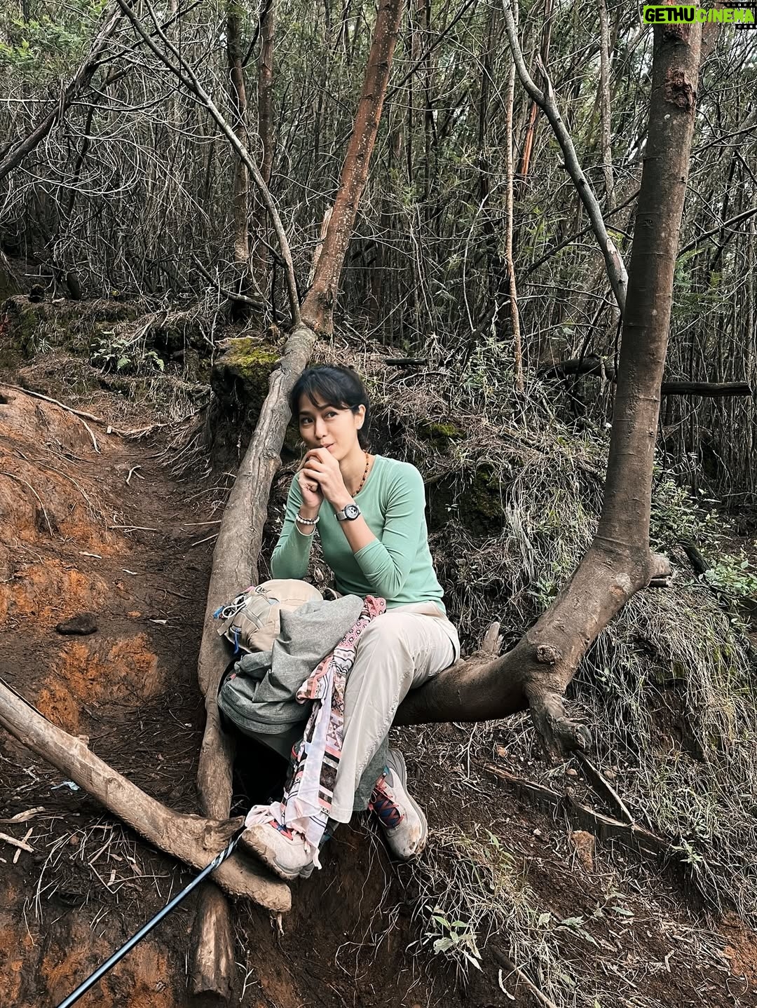 Prisia Nasution - 17.6K Likes - hijau, kusut, siang gaya, malem lemes, 
apaa hayooo? 

pia gegayaan naik gunung dari siang ketemu malem