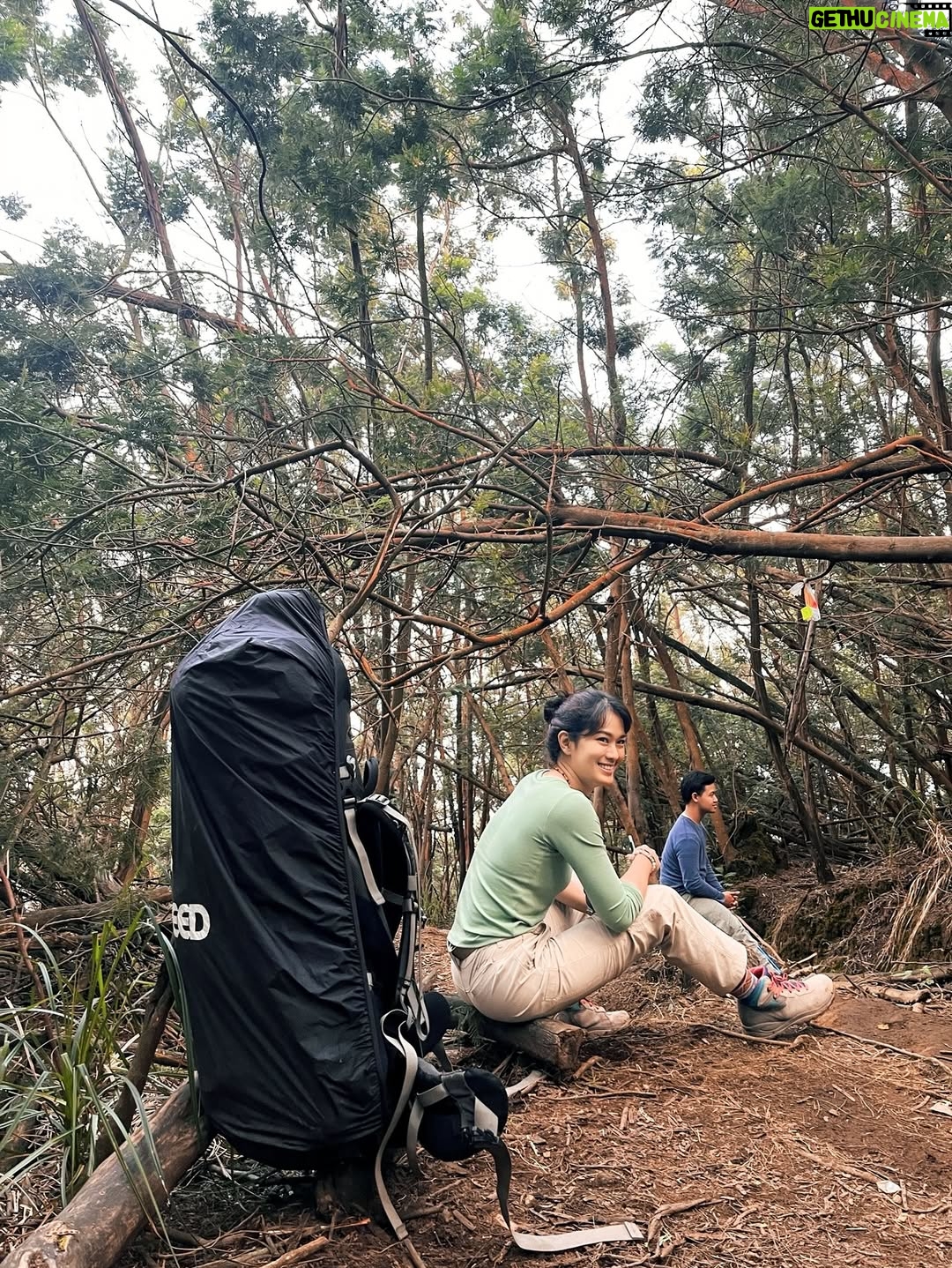 Prisia Nasution - 17.6K Likes - hijau, kusut, siang gaya, malem lemes, 
apaa hayooo? 

pia gegayaan naik gunung dari siang ketemu malem
