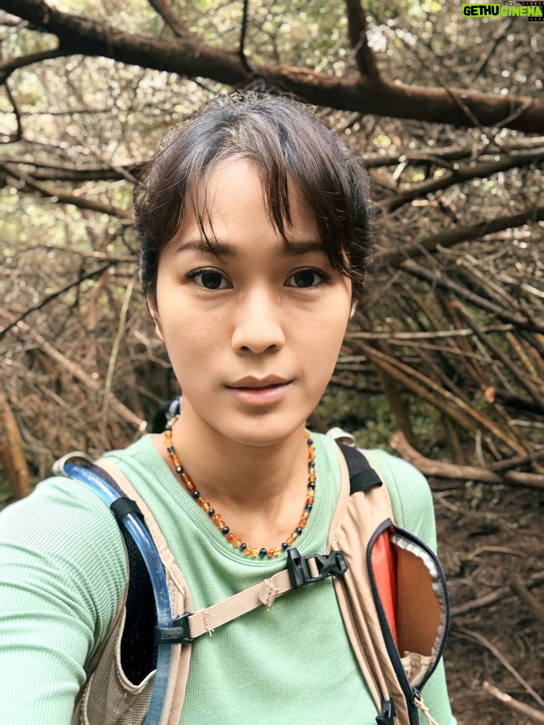 Prisia Nasution - 17.6K Likes - hijau, kusut, siang gaya, malem lemes, 
apaa hayooo? 

pia gegayaan naik gunung dari siang ketemu malem